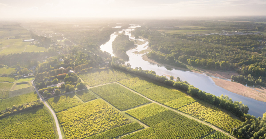 vignoble et la Loire vus du ciel