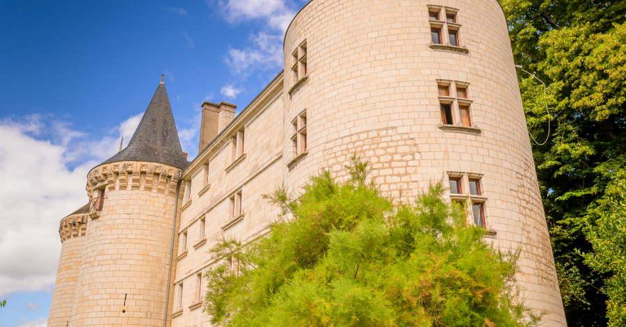 Chateau de la Guerche