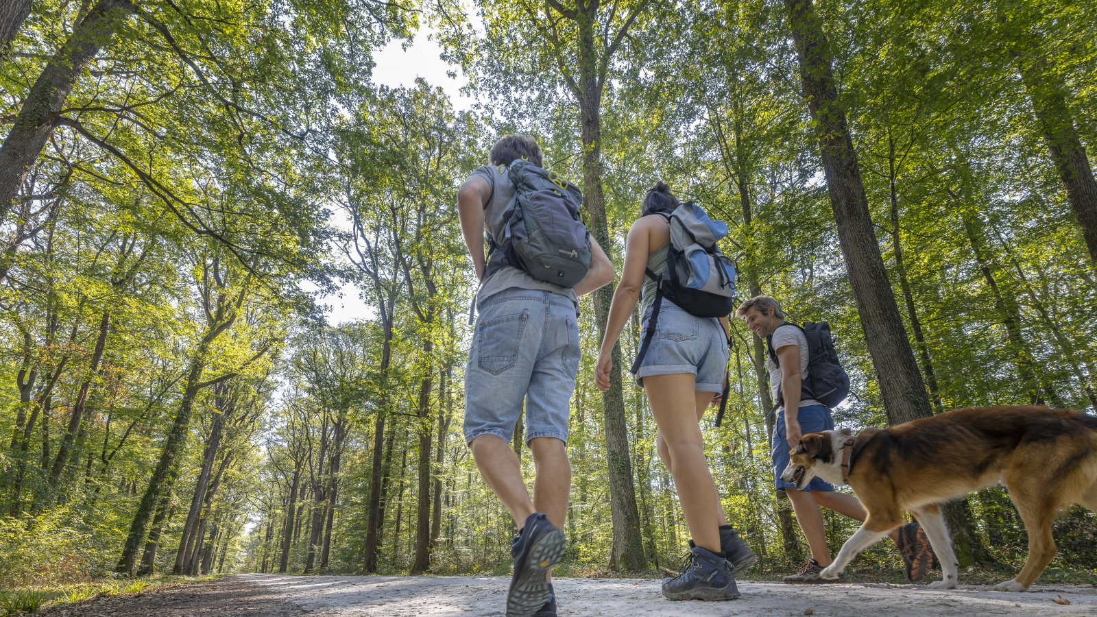 randonnée en forêt de Loches