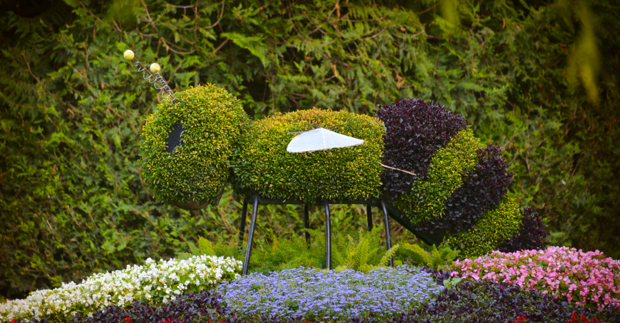 jardin Boylesve à Descartes