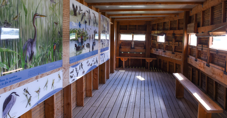 observatoire ornithologique du Louroux