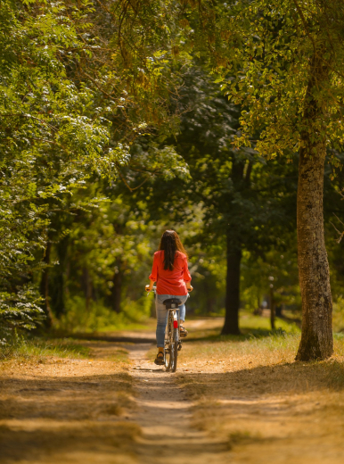 à vélo dans les prairies du roy