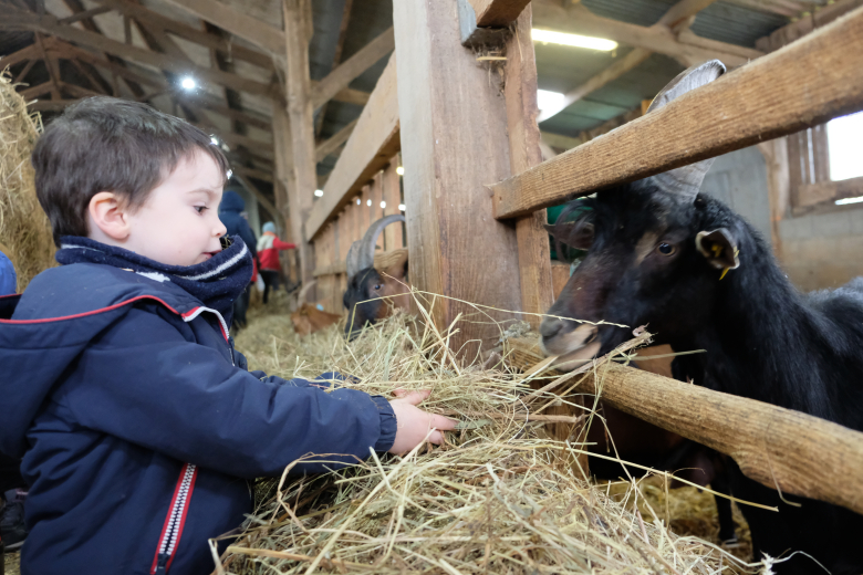 atelier nature à la ferme caprine de sepmes