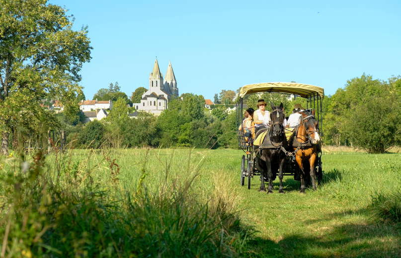 Calèche dans les Prairies du Roy face à Loches