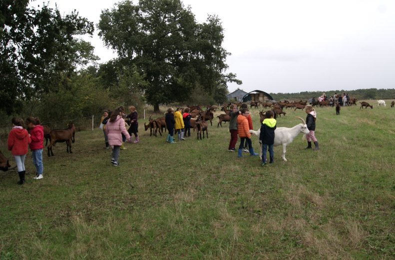 ferme caprine à Sepmes