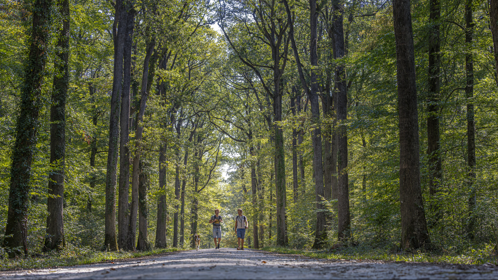 Couple en randonnée en foret de Loches