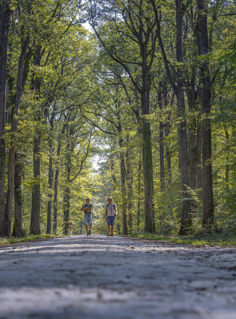 Couple en randonnée en foret de Loches