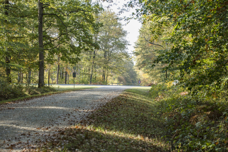 foret de Loches