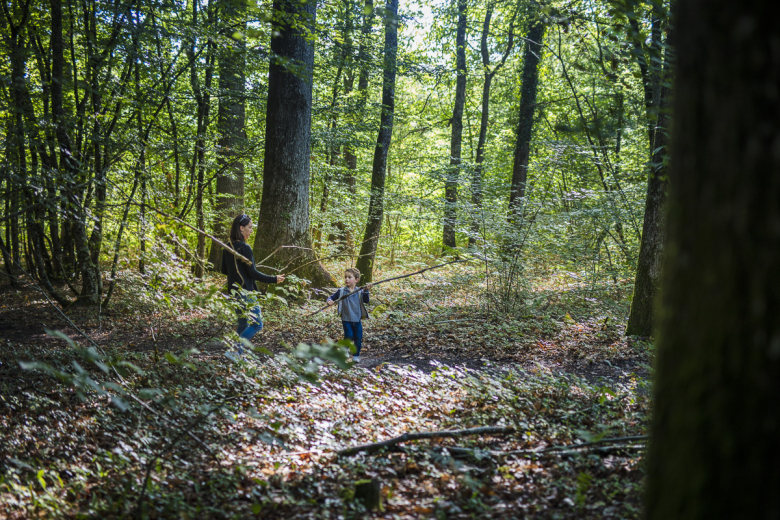 forêt de Tours-Preuilly