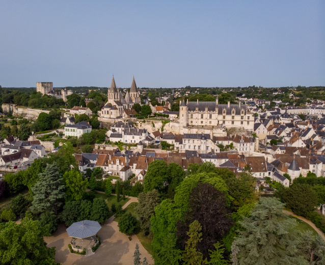 vue aérienne du logis royal et du donjon en été
