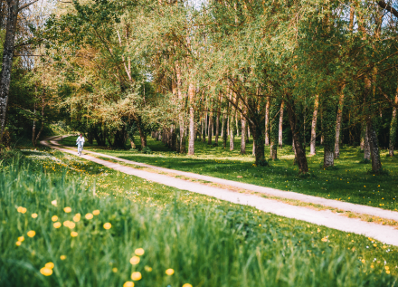 chemin à vélo dans la campagne