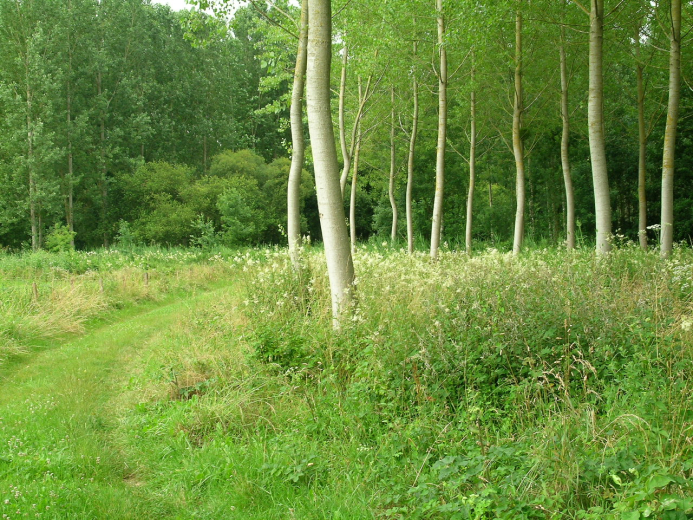 Prairies humides de Chédigny