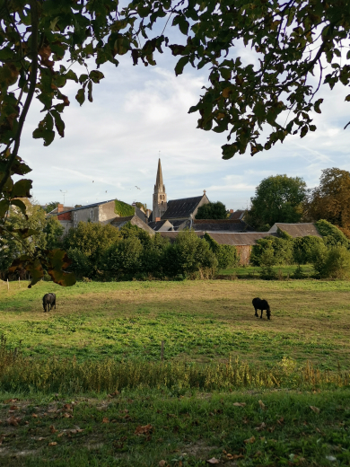 Tauxigny