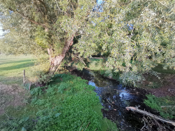Vallée de l'échandon