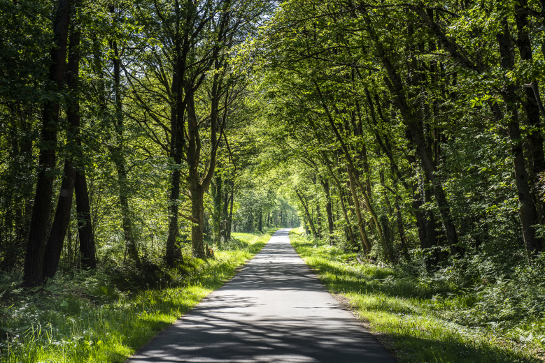 forêt de Tours-Preuilly