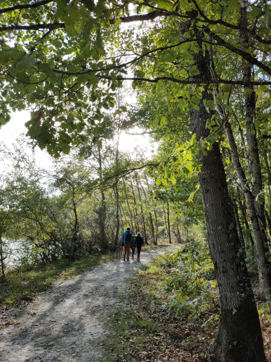 balade en famille en foret de Loches