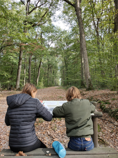 Rando'croquis en forêt de Loches