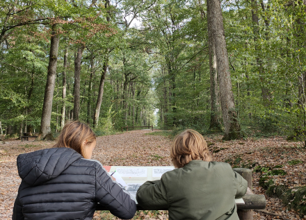 rando'croquis en forêt de Loches