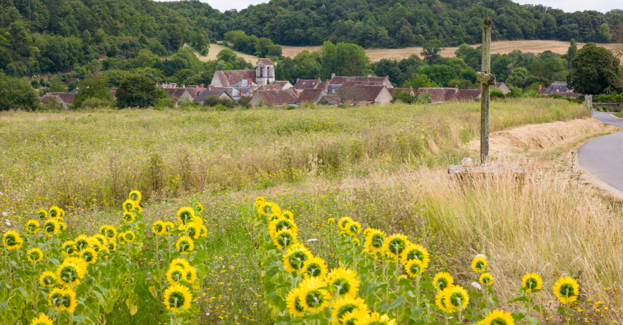 chaumussay et tournesols