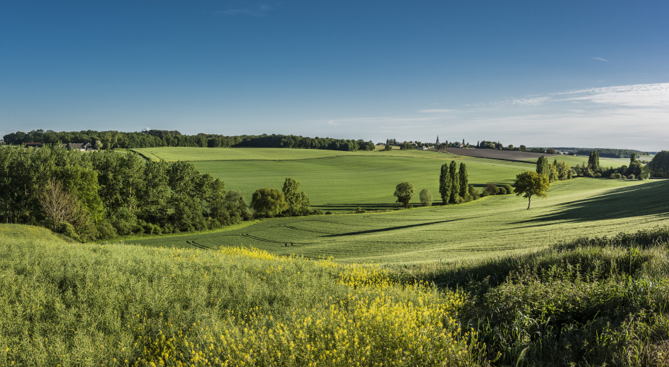 Campagne printemps