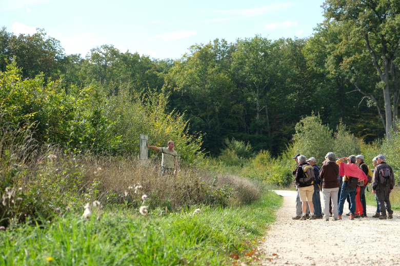 visite guidée ONF foret de Loches