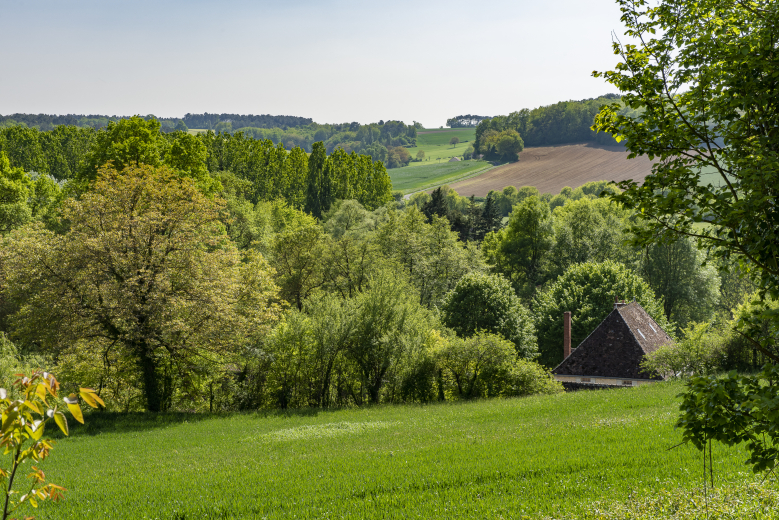 campagne au printemps