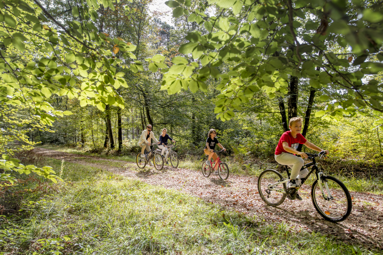 famille à vélo en forêt de Loches