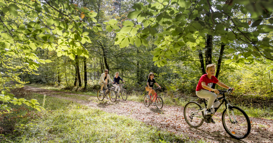 famille à vélo en forêt de Loches