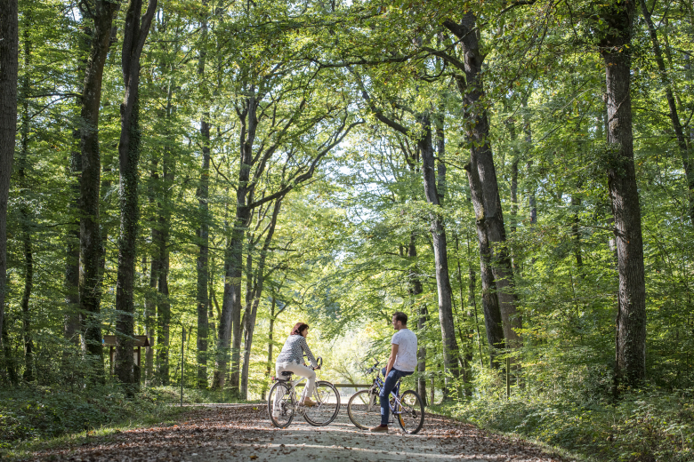 couple à vélo en forêt de Loches