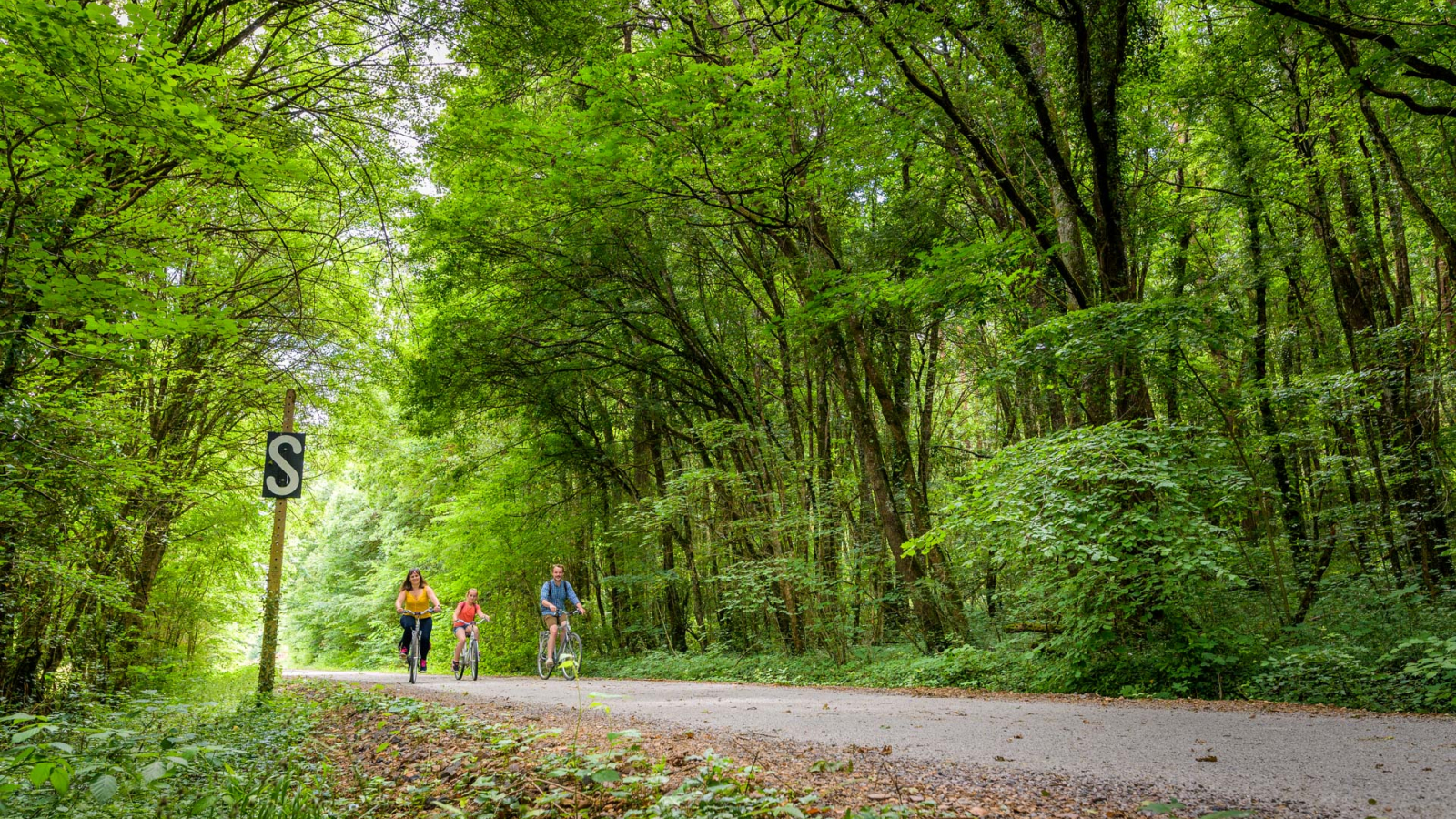 famille à vélo sur la voie verte