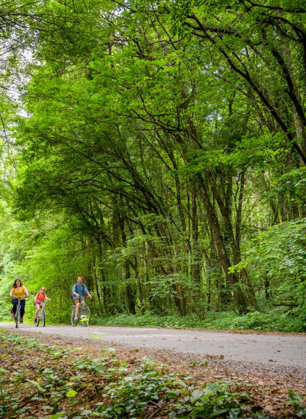 famille à vélo sur la voie verte