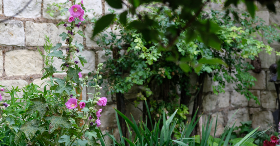 jardins du donjon de Loches