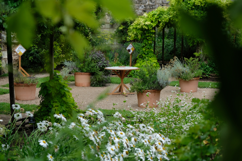 jardins du donjon de Loches