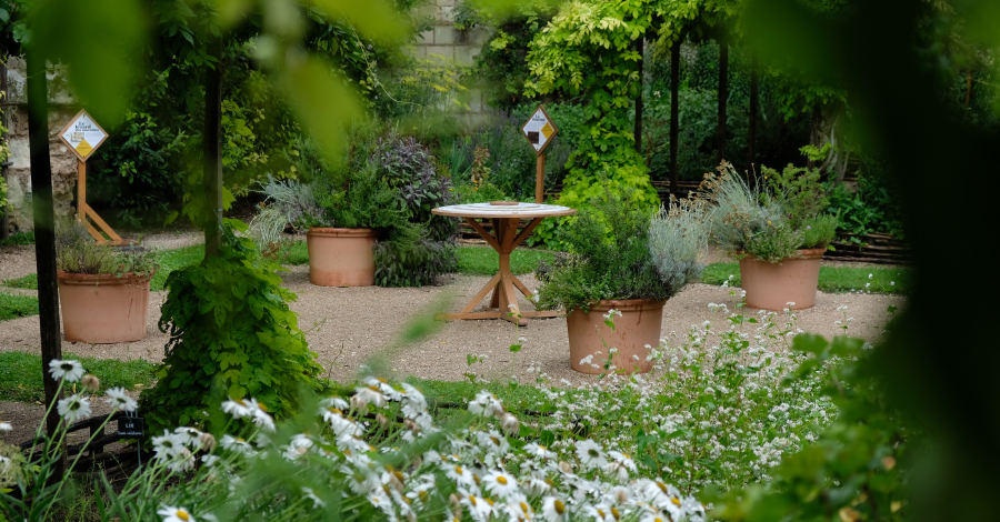 jardins du donjon de Loches
