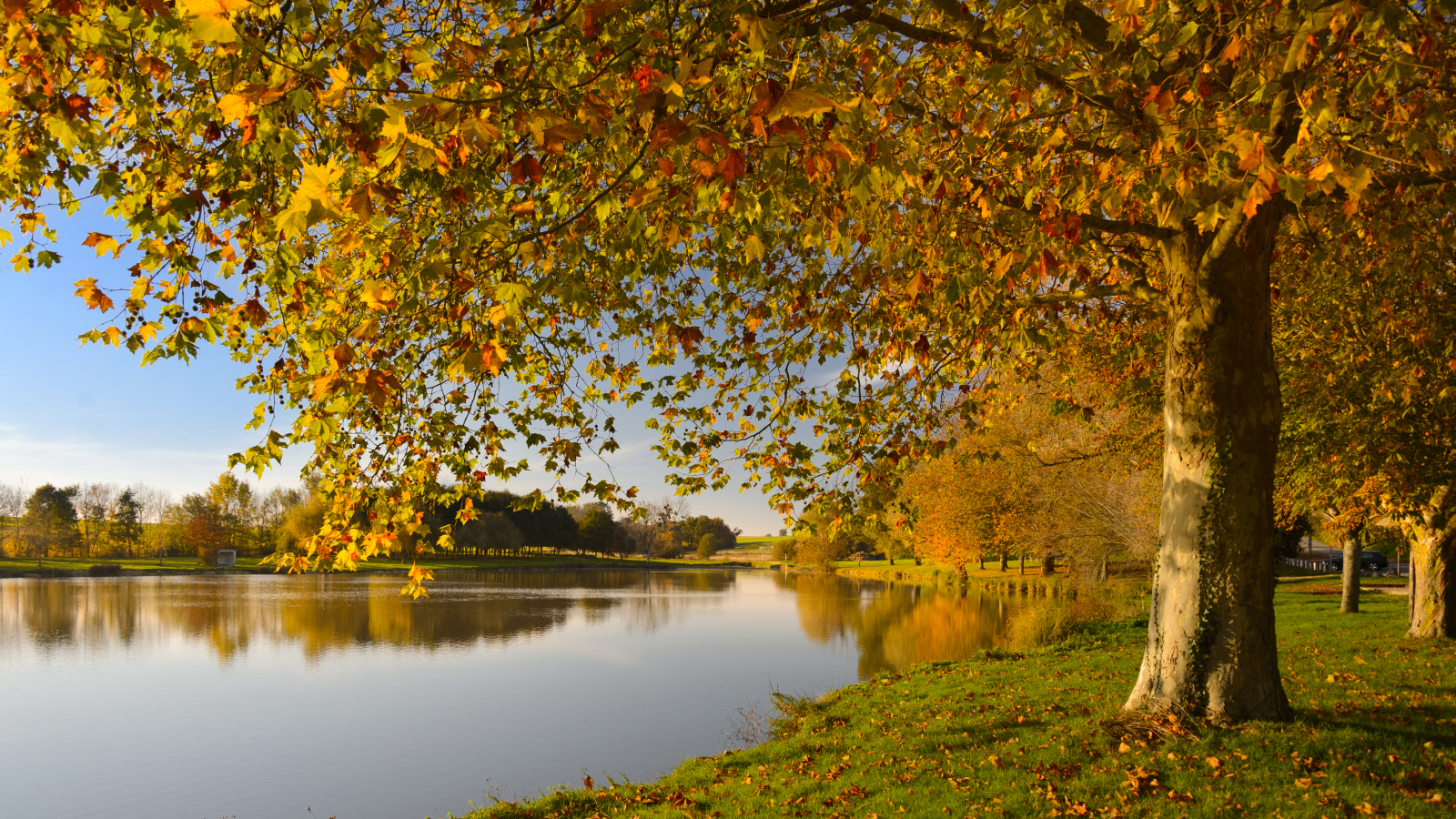 étang de Bridoré en automne