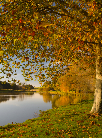 étang de Bridoré en automne