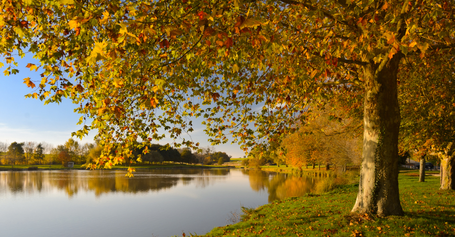 étang de Bridoré en automne