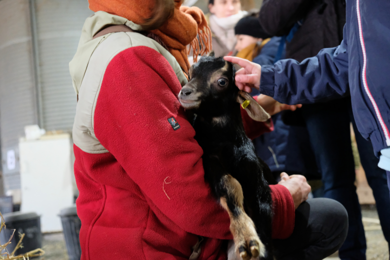 visite de ferme caprine à Sepmes