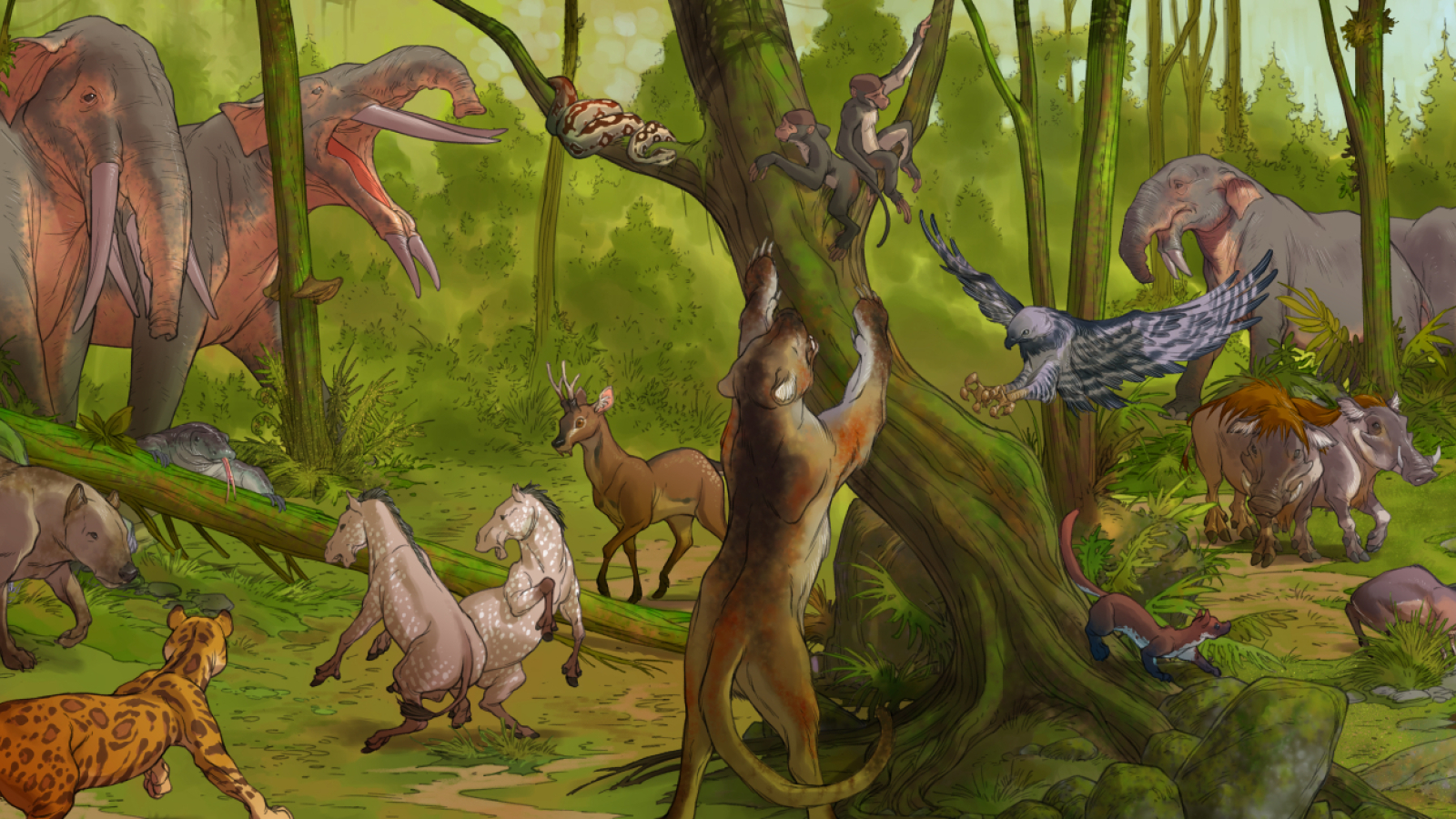 ILLIUSTRATION Touraine Tropicale