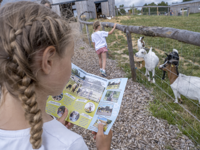 Ferme pédagogique Ani'Maurice à Neuilly-le-Brignon