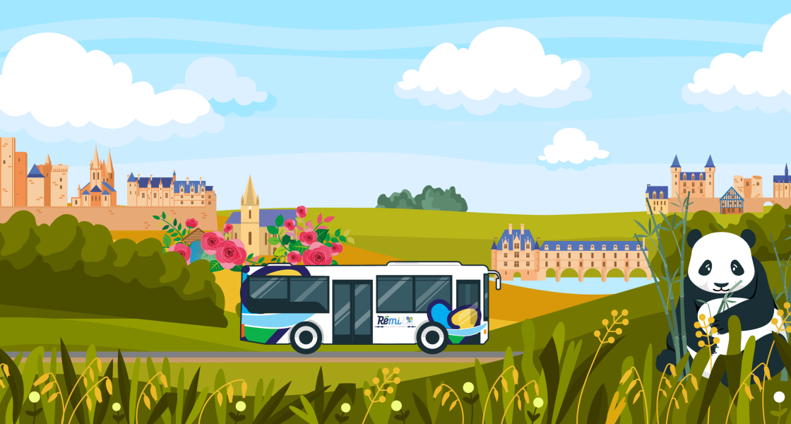 illustration navettes de car été 2025 loches chenonceau zoo beauval