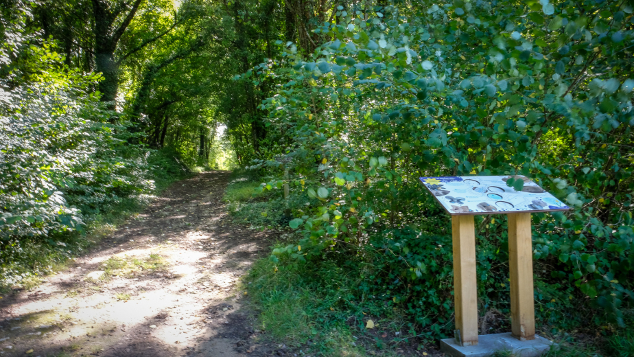 chemin en forêt à Sepmes et panneau