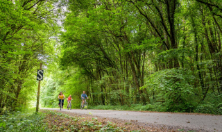 famille à vélo sur la voie verte