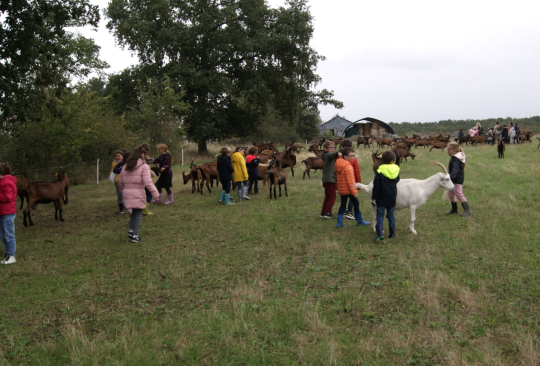 ferme caprine à Sepmes