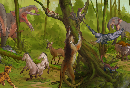ILLIUSTRATION Touraine Tropicale