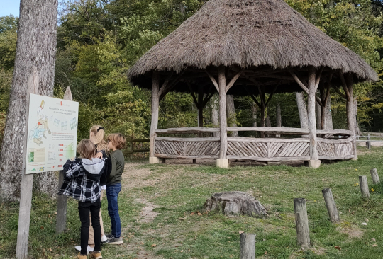 Rando'croquis en forêt de Loches