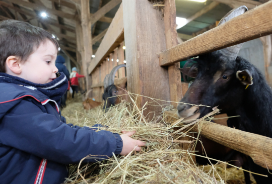 atelier nature à la ferme caprine de sepmes